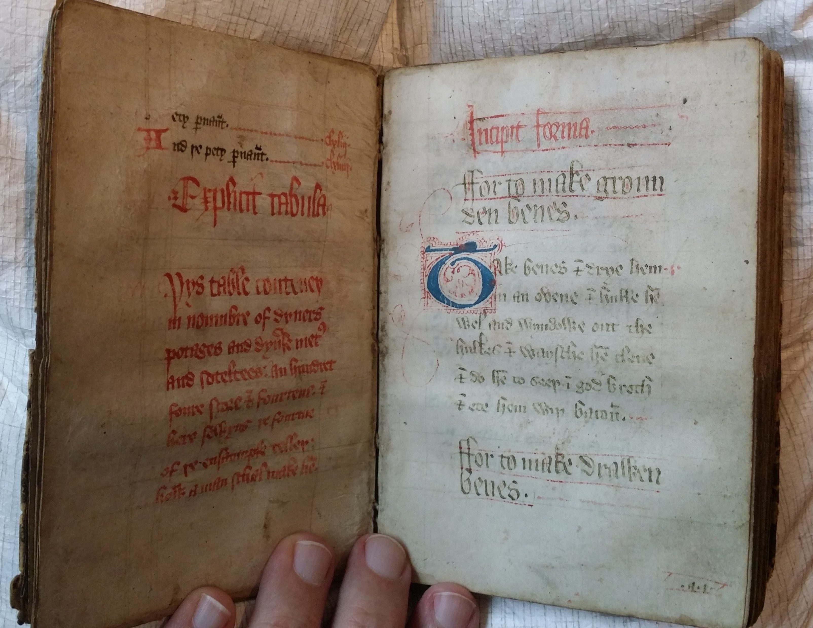 Website header photo