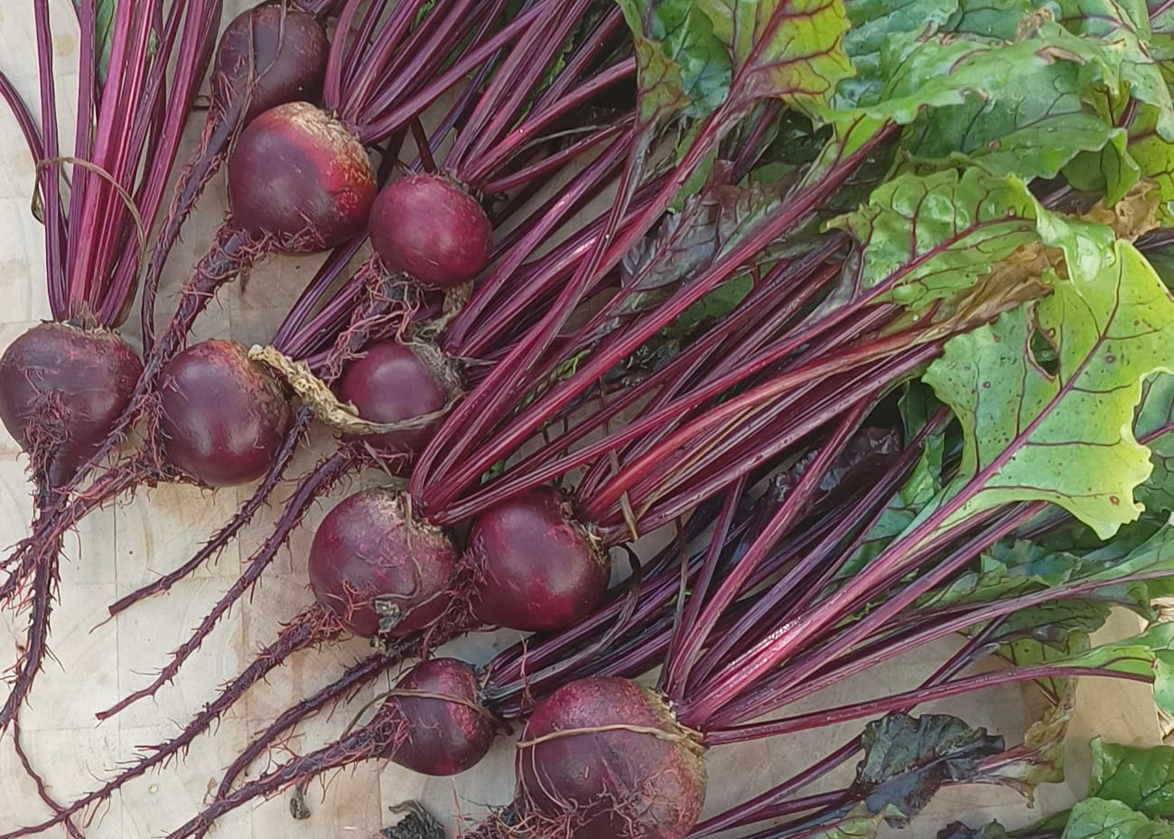 Beet it! – MONK'S MODERN MEDIEVAL CUISINE