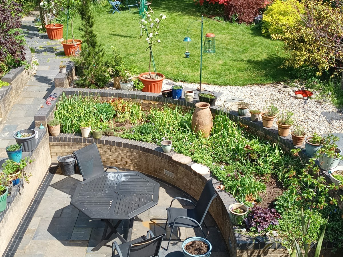 In my new garden in&nbsp;Derby